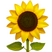 A bigger image of the Apple "sunflower" emoji.
